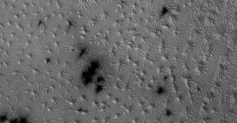Ice, sand and the spiders from Mars in the laboratory